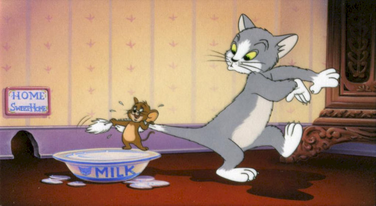 Tom đuổi Jerry khắp nhà, tiếng nhạc dồn dập vang lên cùng tiếng cười bất tận