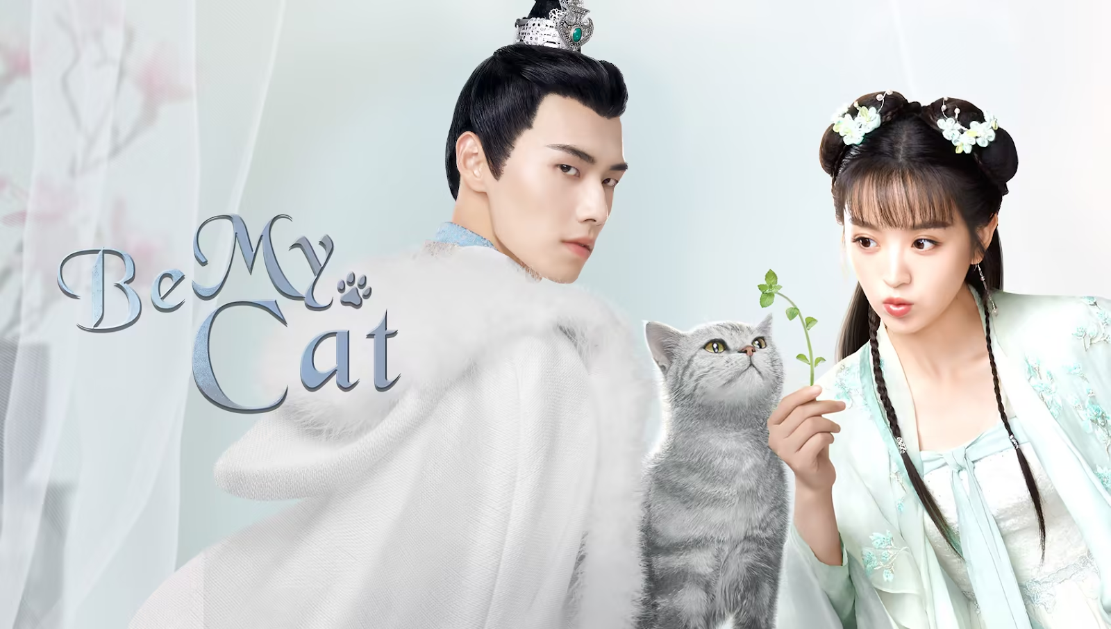 Thiếu Tướng Quân Thú Cưng Của Tôi