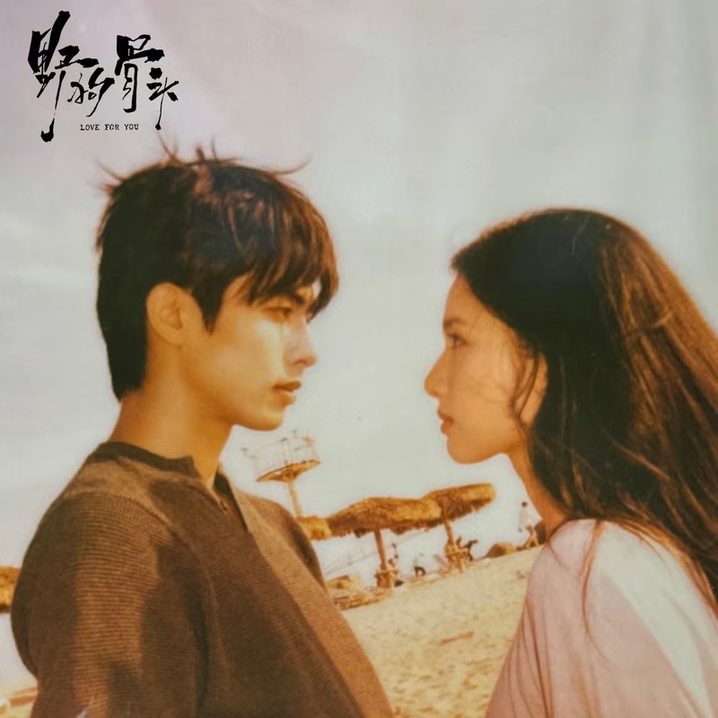 Chó Hoang Và Xương chuyển thể từ bộ tiểu thuyết cùng tên của tác giả Hưu Đồ Thành