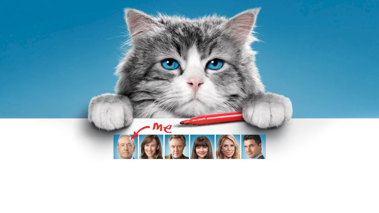 "Bố Tôi Là Mèo" à phim hài, kỳ ảo về tỷ phú Tom Brand bị mắc kẹt trong thân xác mèo, phải học cách kết nối lại với gia đình để trở lại làm người.