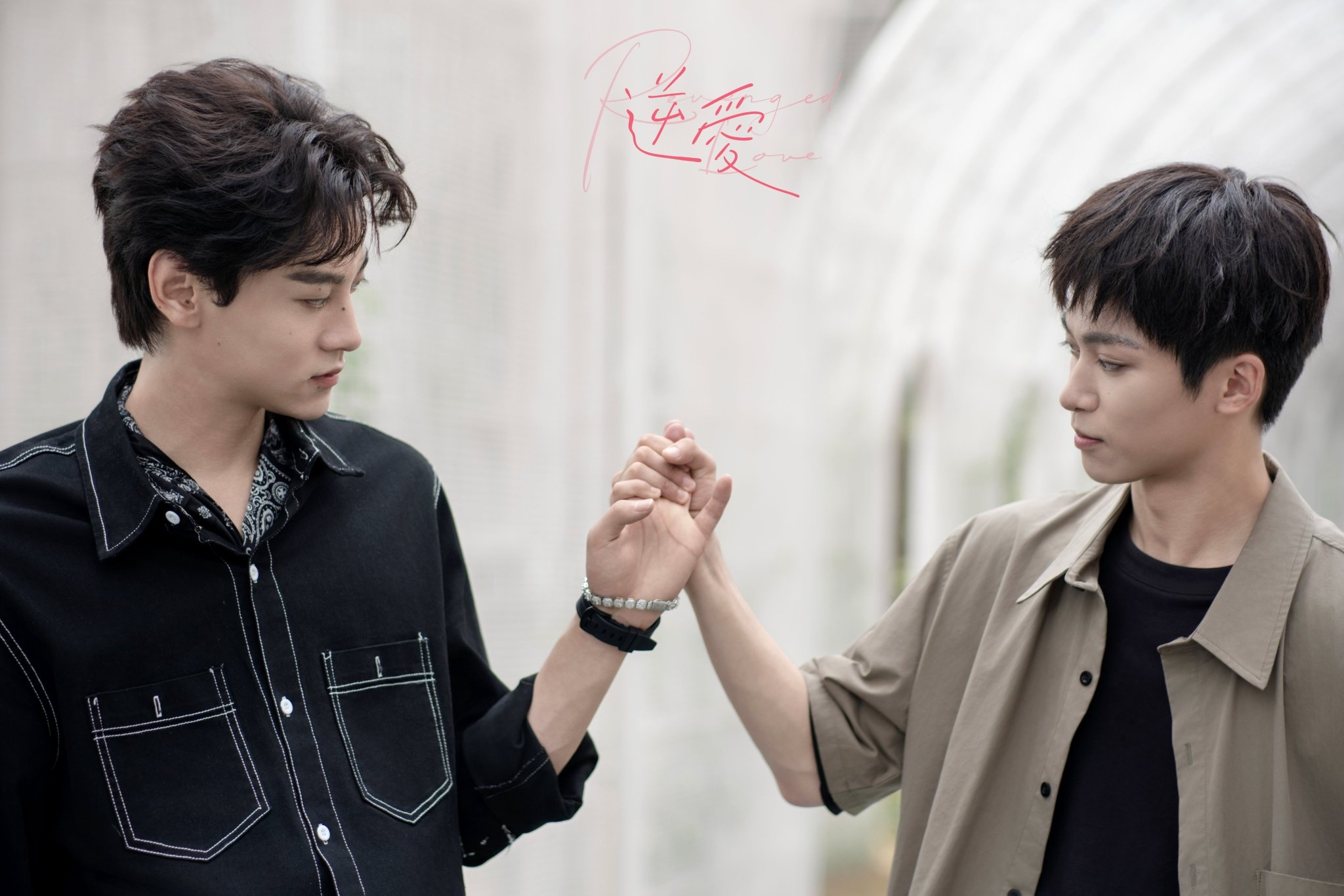 “Nghịch Ái” nhận được vô số lời khen ngợi từ cộng đồng người hâm mộ quốc tế