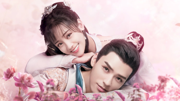 Trong hành trình này, cô gặp gỡ nhiều nhân vật điển trai: một vị kiếm khách lạnh lùng, một hoàng tử kiêu ngạo, một tướng quân nghĩa hiệp…