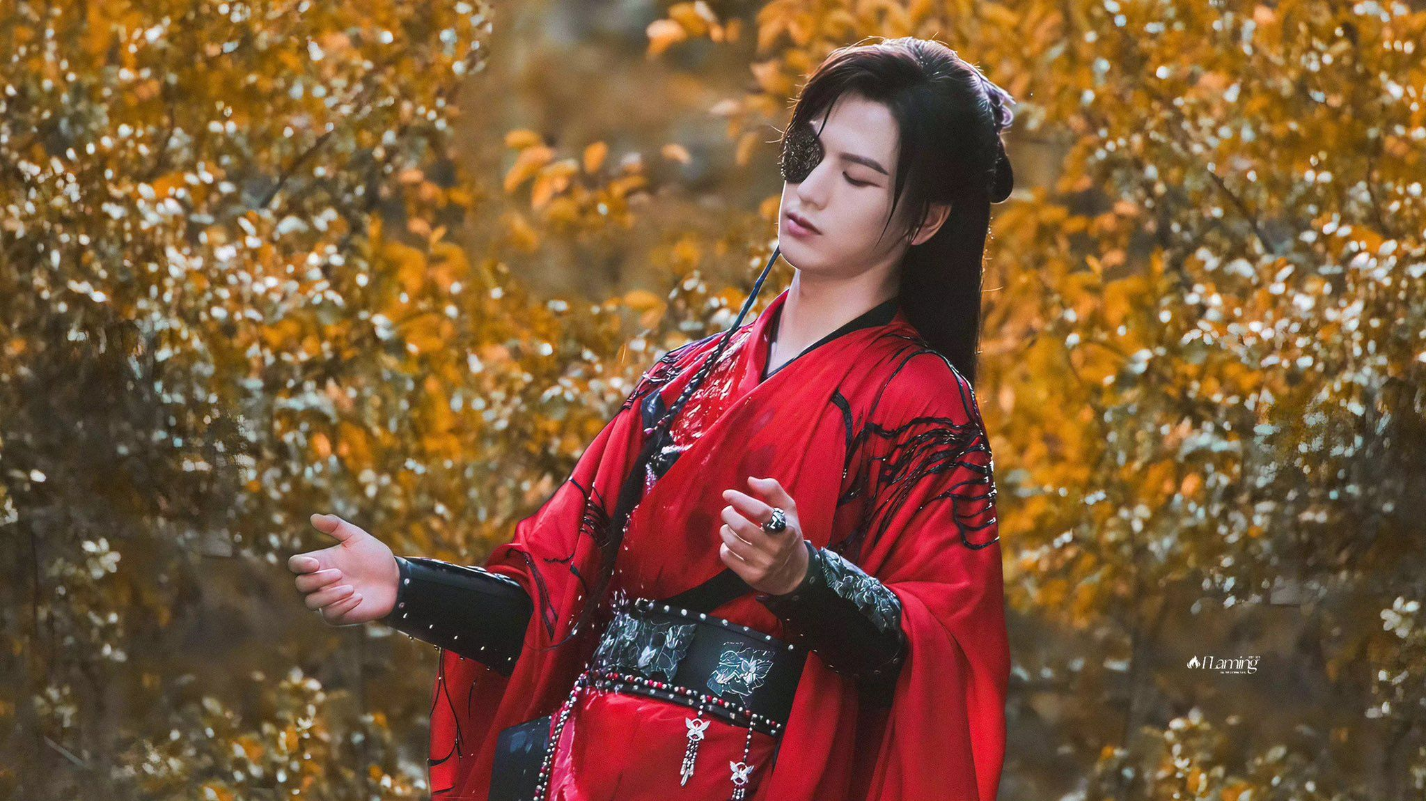 Phim tái hiện mối tình “trăm năm tri kỷ” giữa Tạ Liên và Hoa Thành, vừa bi tráng vừa lãng mạn