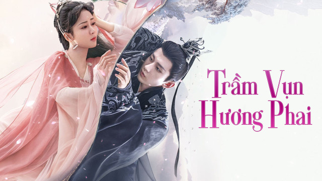Trầm vụn hương phai