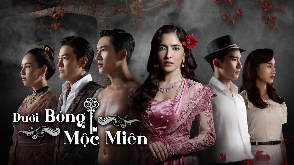 Poster phim "Dưới bóng cây mộc miên"