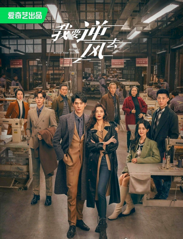 Poster phim "Tôi Muốn Đi Ngược Chiều Gió"