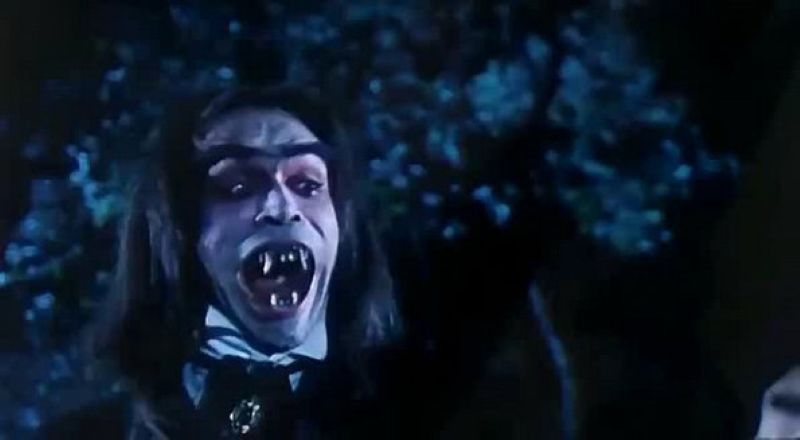 Nhất My Đạo Nhân kể về một đạo sĩ trừ tà kỳ quặc nhưng đầy năng lực, chuyên đối đầu với ma quỷ và cương thi