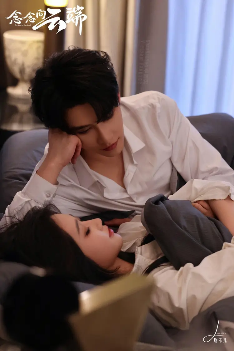 “Vợ Nhỏ Của Tổng Tài” là một trong những tác phẩm tiêu biểu nhất cho thương hiệu "tổng tài" của Thân Hạo Nam