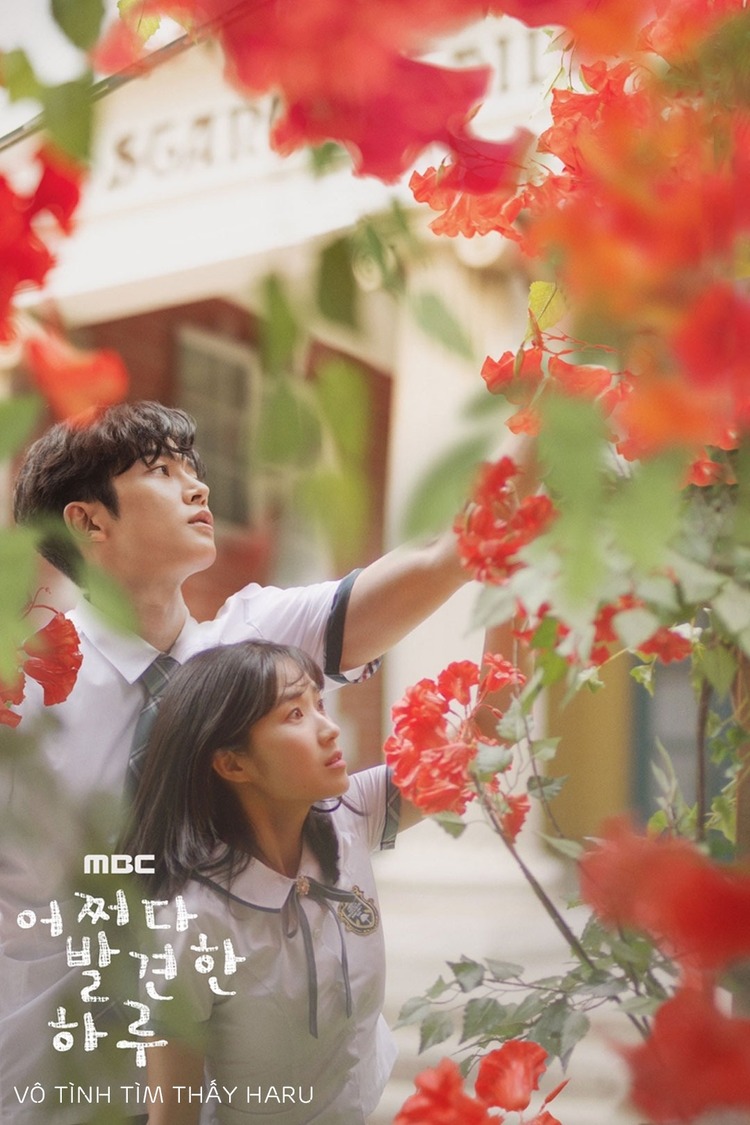 “Vô Tình Tìm Thấy Haru” là một bộ phim tình cảm học đường Hàn Quốc để lại nhiều dấu ấn trong lòng khán giả