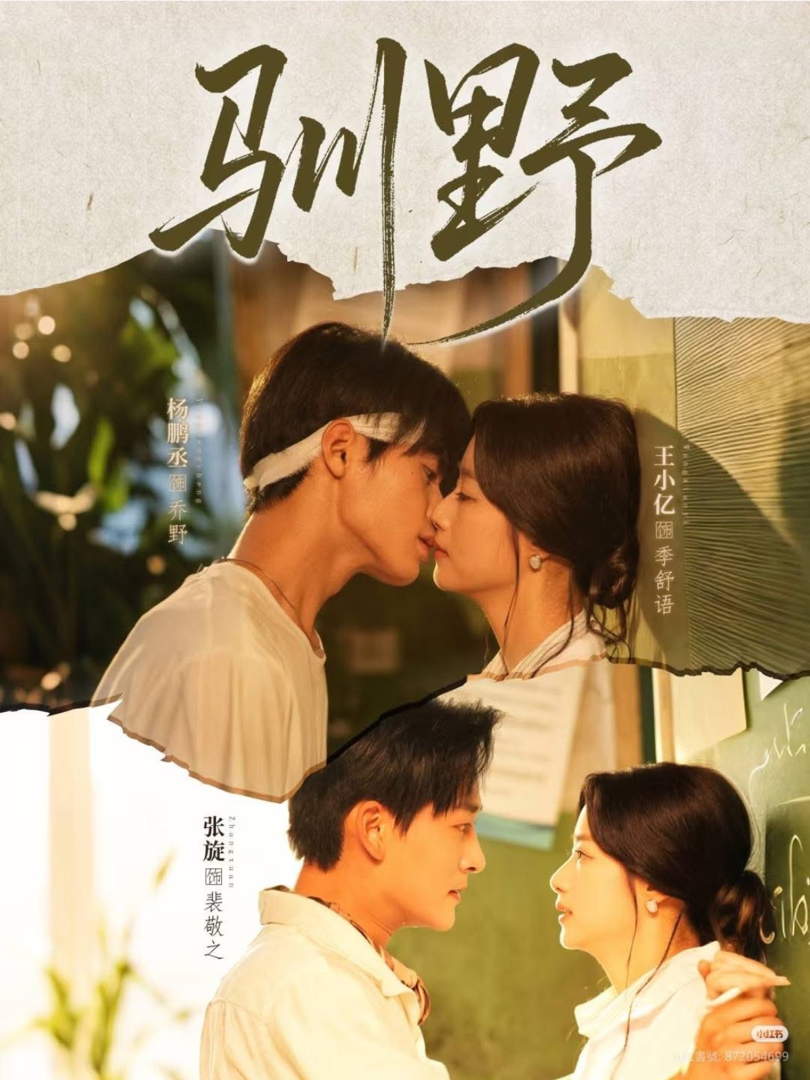 Có những trái tim hoang dã, chỉ cần một ánh nhìn dịu dàng cũng đủ khiến chúng thuần phục