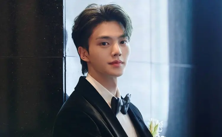     Song Kang nổi tiếng với vai trò đại sứ thương hiệu của nhiều tập đoàn quốc tế. 