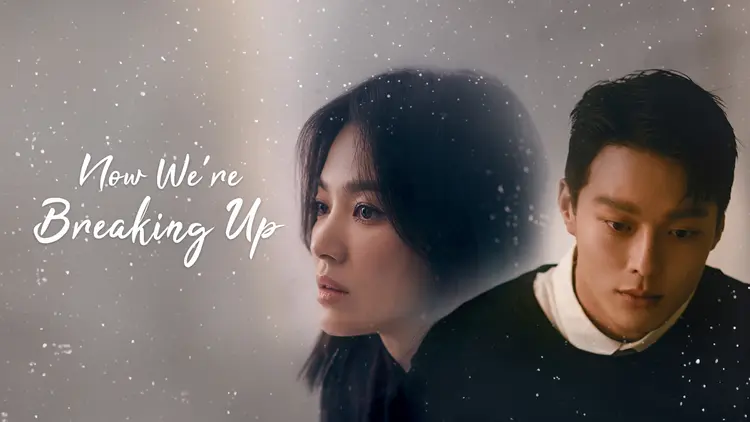 Jang Ki Yong đóng chung cùng Song Hye Kyo trong bộ phim Now, We Are Breaking Up (Bây giờ, chúng ta đang chia tay) .
