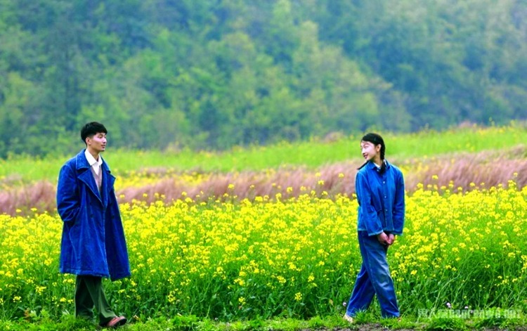 Chuyện tình cây táo gai - Bộ phim chiếu rạp đầy xúc động và đáng xem