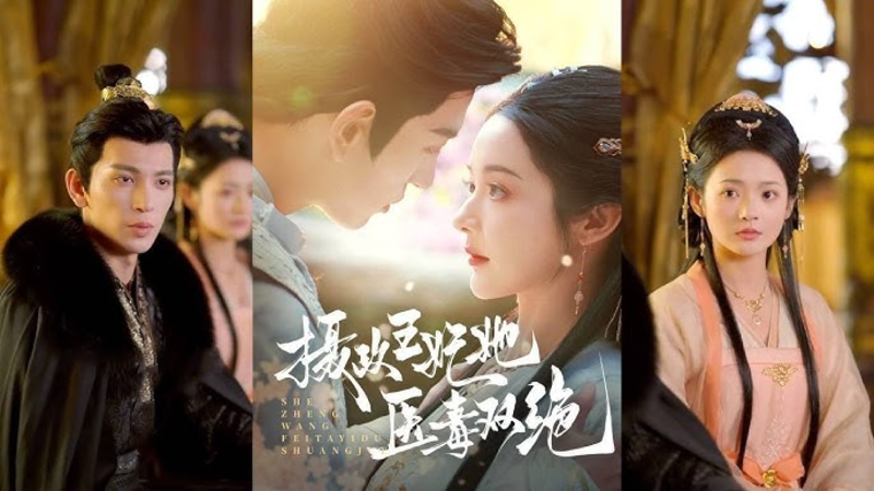 Phim "Nữ Phò Mã Của Tể Tướng, Nàng Có Tài Y Dược Tuyệt Đỉnh"