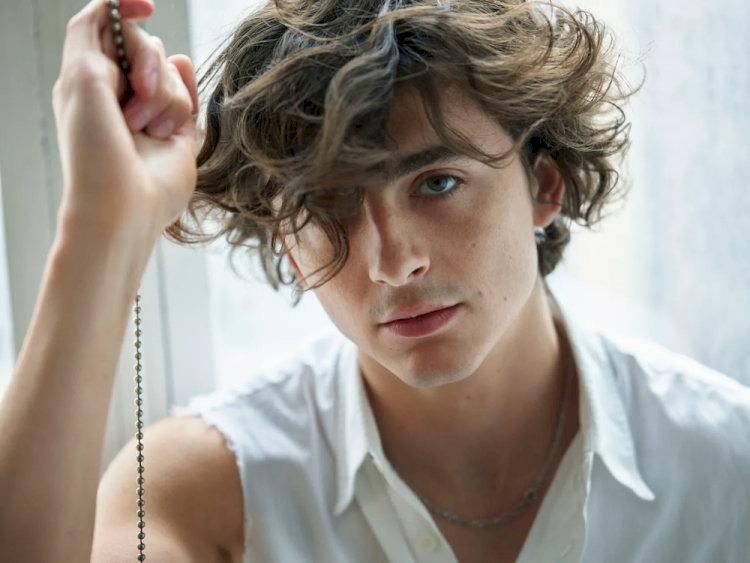 Timothée Chalamet - "Chàng thơ" của dòng phim nghệ thuật