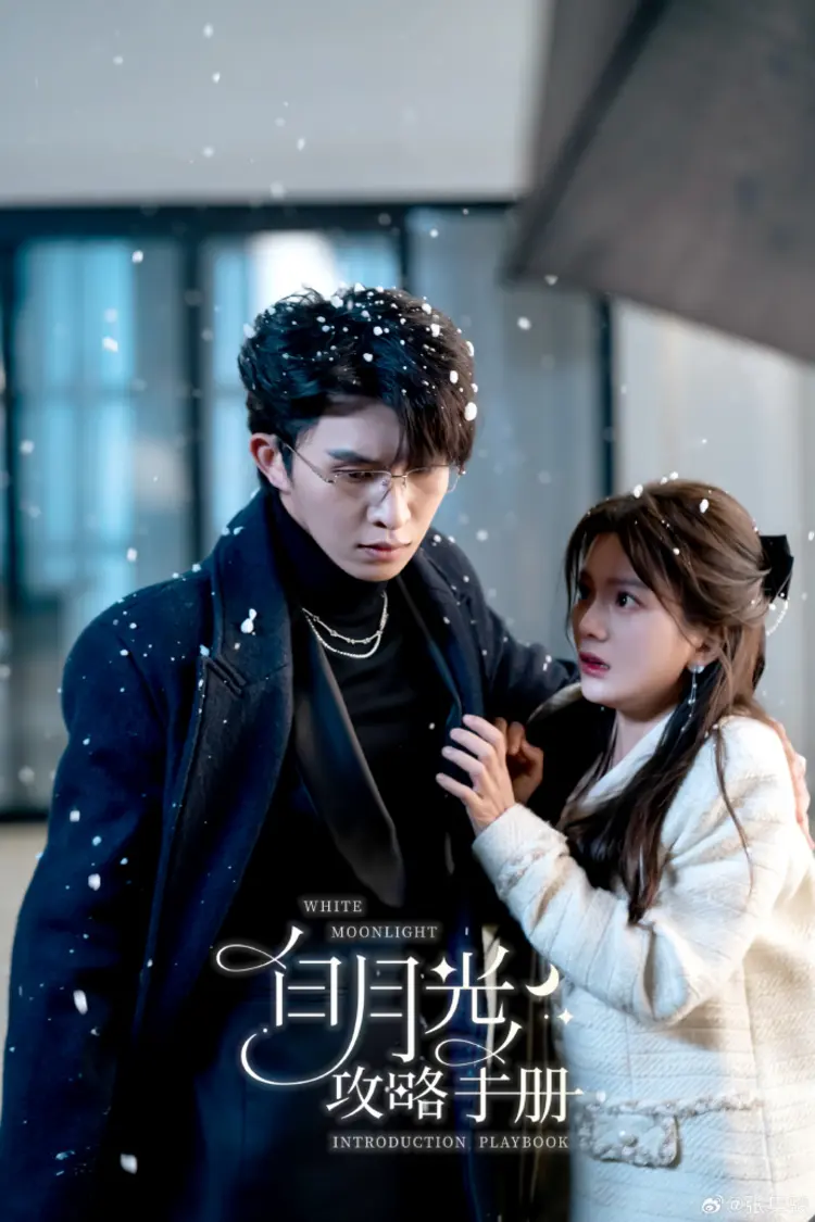 "Cẩm Nang Chinh Phục Bạch Nguyệt Ánh" là phim ngắn lãng mạn về cô gái hiền lành Giang Khinh Ngữ , người bất ngờ được tổng tài Lục Chi Tầm bảo vệ