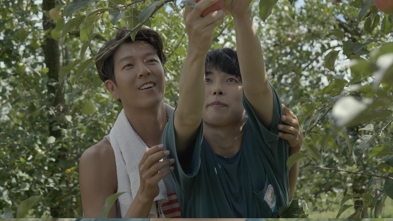 Nội dung phim xoay quanh Kang và Yoon có những tính cách hoàn toàn đối lập nhưng bổ sung cho nhau