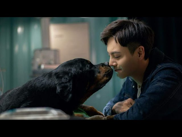 “Sủng Ái” là bộ phim xoay quanh sáu câu chuyện cảm động về mối quan hệ giữa con người và thú cưng