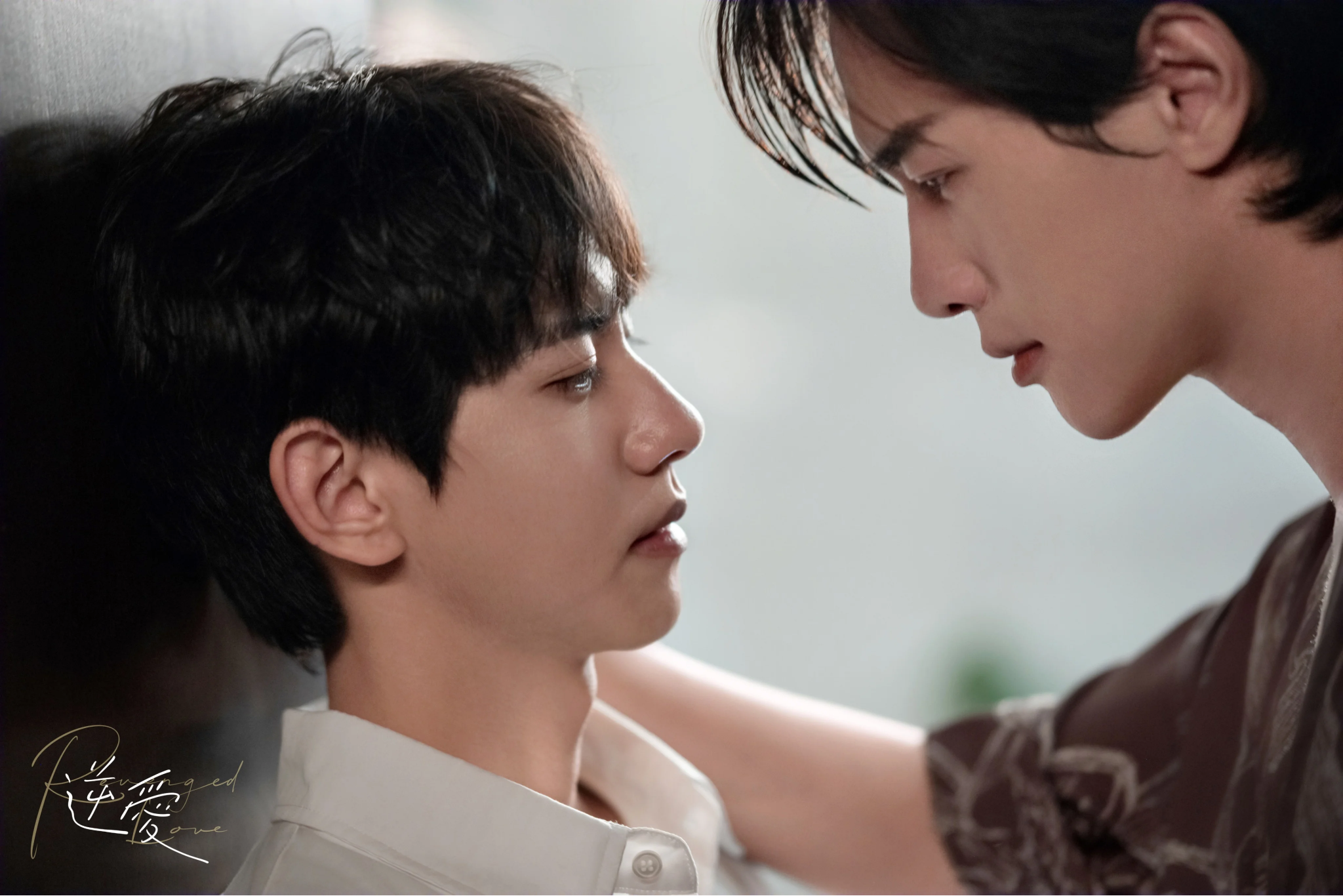 Dù không được phát hành chính thức tại quê nhà, sức nóng của "Nghịch Ái" đã nhanh chóng lan tỏa và tạo nên những kỷ lục đáng nể trên thị trường quốc tế