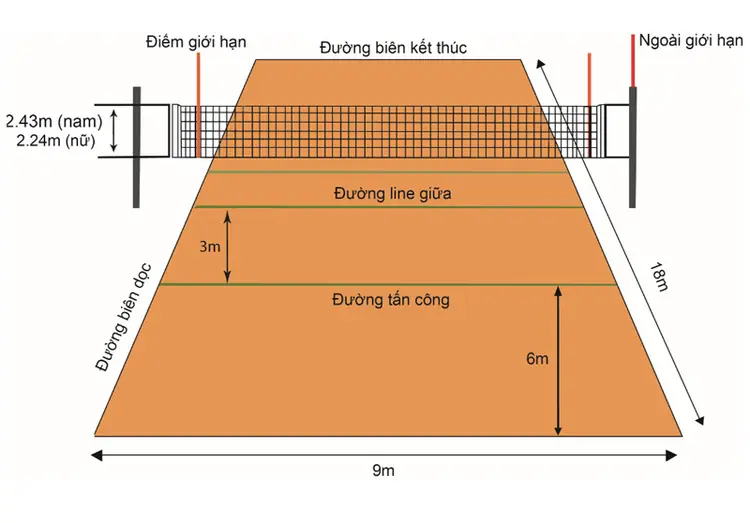 Các khu vực và đường kẻ trên sân bóng chuyền