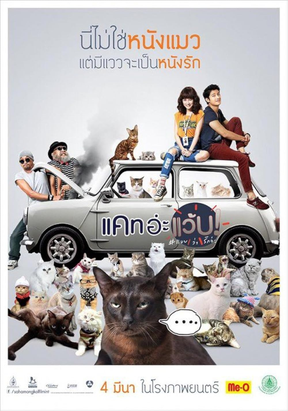 Mèo mai mối