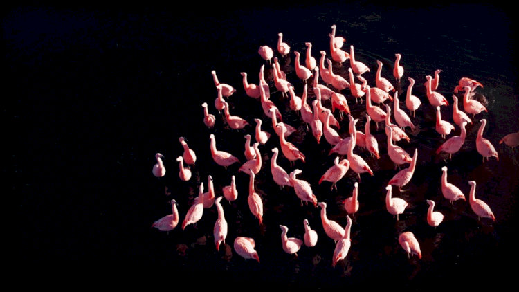  Hai linh hồn lạc lối tìm thấy nhau giữa ranh giới mong manh của sự sống và cái chết.